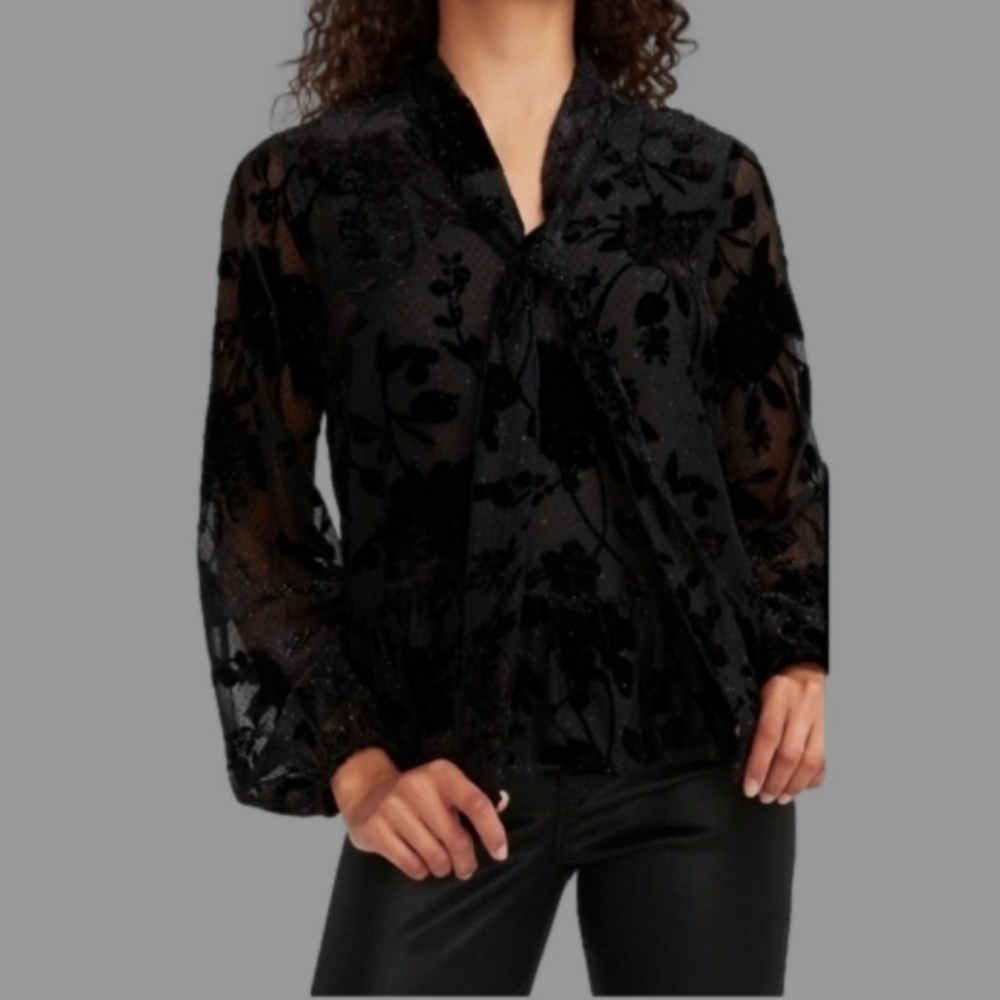 Express Black Velvet Floral Long Sleeve Blouse Size XL NWT